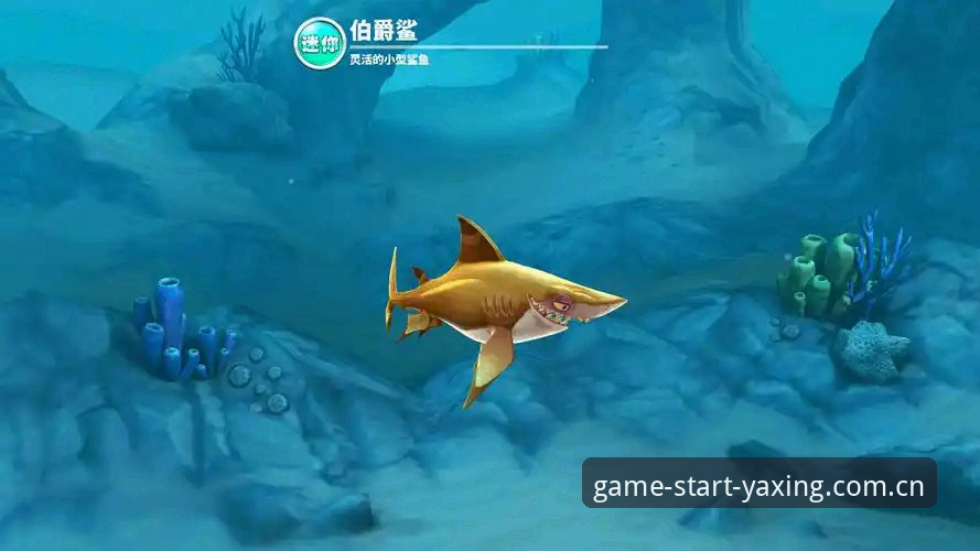 亚星游戏CN登录安全吗 资深用户分享:亚星游戏CN登录,是真的安全还是一个美丽的谎言?